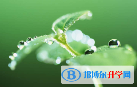 眉山2022年中考報(bào)名學(xué)校