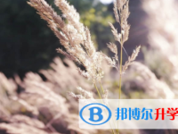 眉山2022年中考的規則