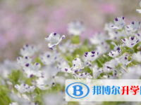 眉山2022年中考各科高頻考點