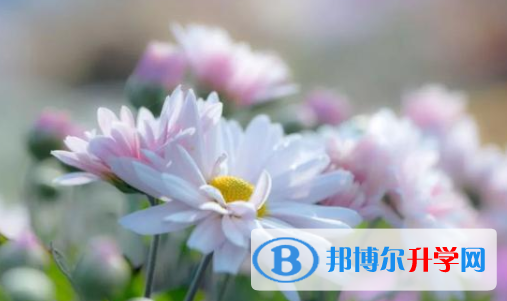 眉山2022年中考報(bào)名自薦信怎么寫(xiě)
