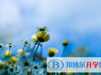 眉山2022年中考調劑志愿