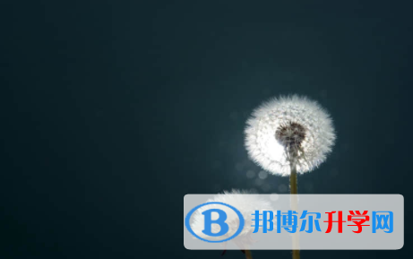 眉山2022年中考怎么填志愿才可以上到好的學校