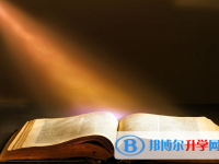 宜賓2022年查詢中考成績上哪個網站