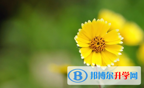 宜賓2022年中考服務平臺