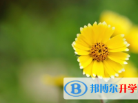 宜賓2022年中考服務平臺
