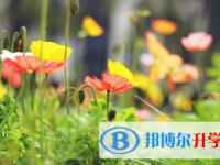 宜賓2022年中考公布時間