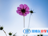 宜賓2022年中考規則