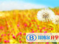 宜賓2022年中考錄取報名網