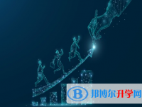 宜賓2022年中考網上報考信息平臺