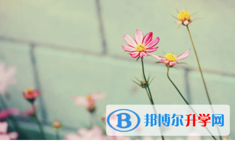 宜賓2022年中考網上模擬報名