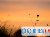 宜賓2022年中考信息服務平臺