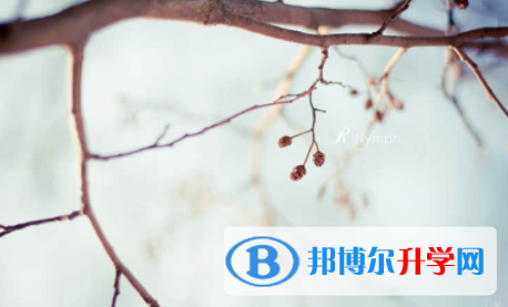 宜賓2022年中考學校排名