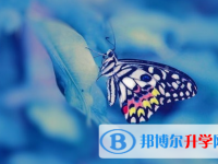 宜賓2022年中考重點復(fù)習(xí)資料