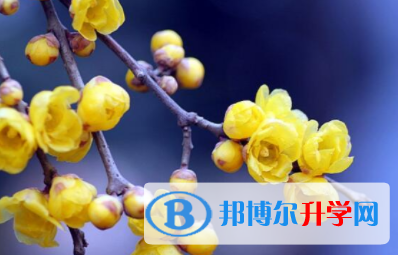 宜賓2022年中考的規則