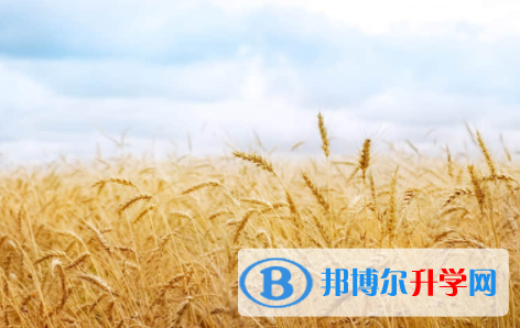 宜賓2022年中考重點復習