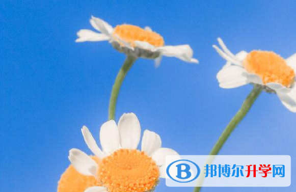 宜賓2022年中考報名網站登錄