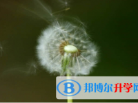 廣安2022年中考成績查詢網址