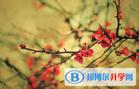 廣安2022年中考派的學(xué)校有哪些學(xué)校