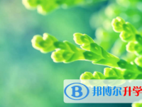 廣安2022年中考人數