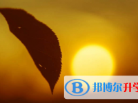 廣安2022年中考統考成績