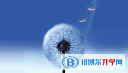 廣安2022年中考網報