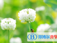 廣安2022年中考網登錄