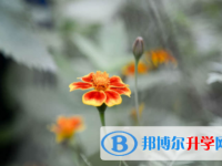 廣安2022年中考的規則
