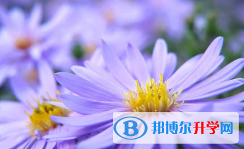 廣安2022年中考后計劃