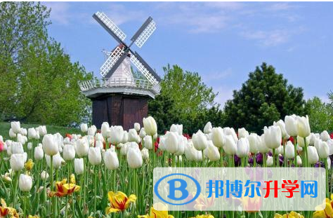 廣安2022年中考后可以上什么學(xué)校