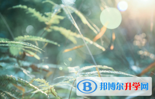 達州2022年中考查詢系統