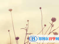 達(dá)州2022年中考成績(jī)沒考好怎么給家長(zhǎng)說(shuō)