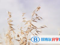 達(dá)州2022年中考成績(jī)有沒D
