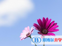 達(dá)州2022年中考報(bào)名網(wǎng)