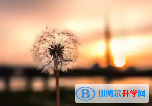 達州2022年中考必考公式