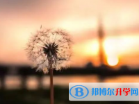 達州2022年中考必考公式