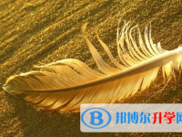 達(dá)州2022年中考成績查詢時間