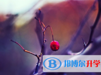 達(dá)州2022年中考成績怎樣查詢