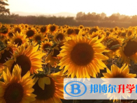 達州2022年中考服務(wù)應(yīng)用平臺