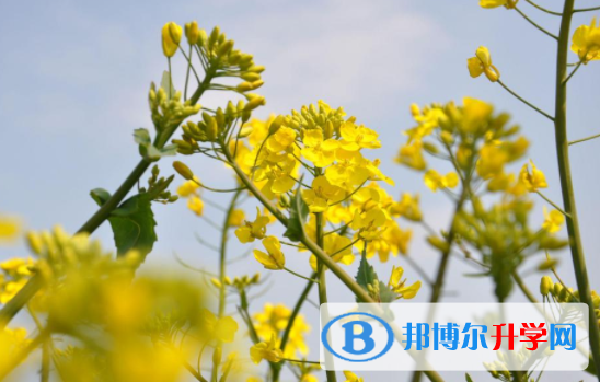 達州2022年中考公布時間