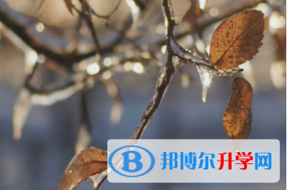 達州2022年中考后如何錄取