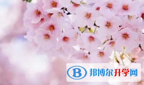 達州2022年中考考生人數