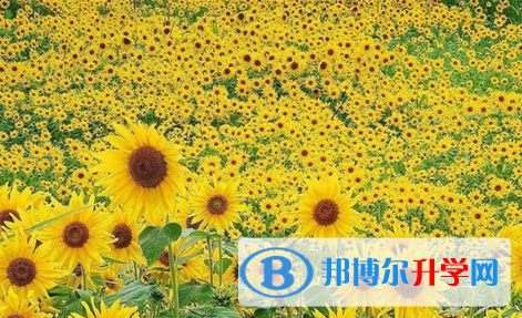 達州2022年中考如何