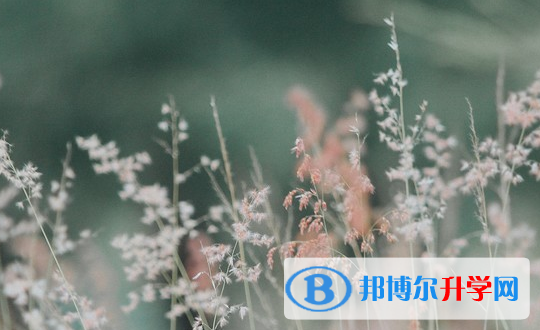 達州2022年中考填志愿的網站