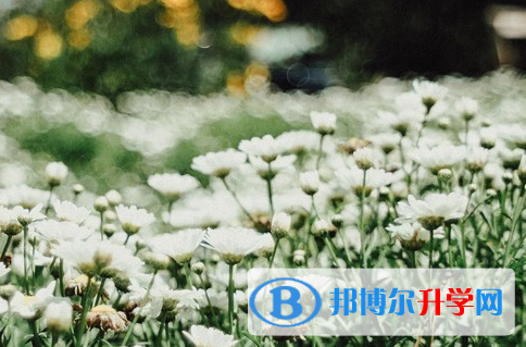達(dá)州2022年中考聽力
