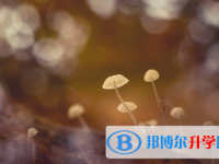 達州2022年中考網報