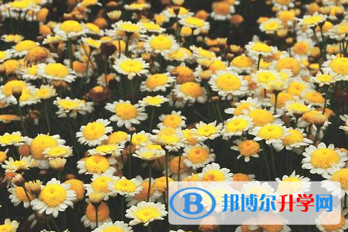 達州2022年中考網上報考信息平臺