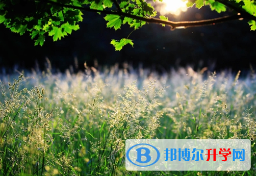 達州2022年中考網上報名模擬