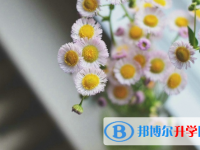 達(dá)州2022年中考網(wǎng)上查詢