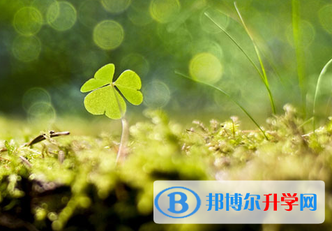達州2022年中考網上學校