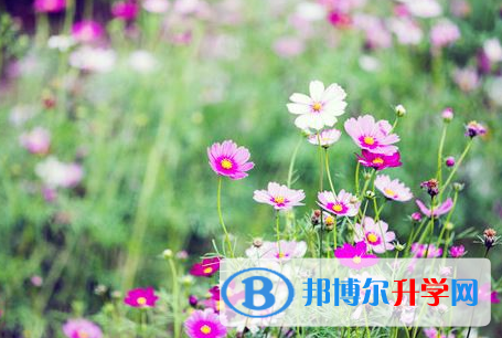 達(dá)州2022年中考預(yù)估重點(diǎn)線